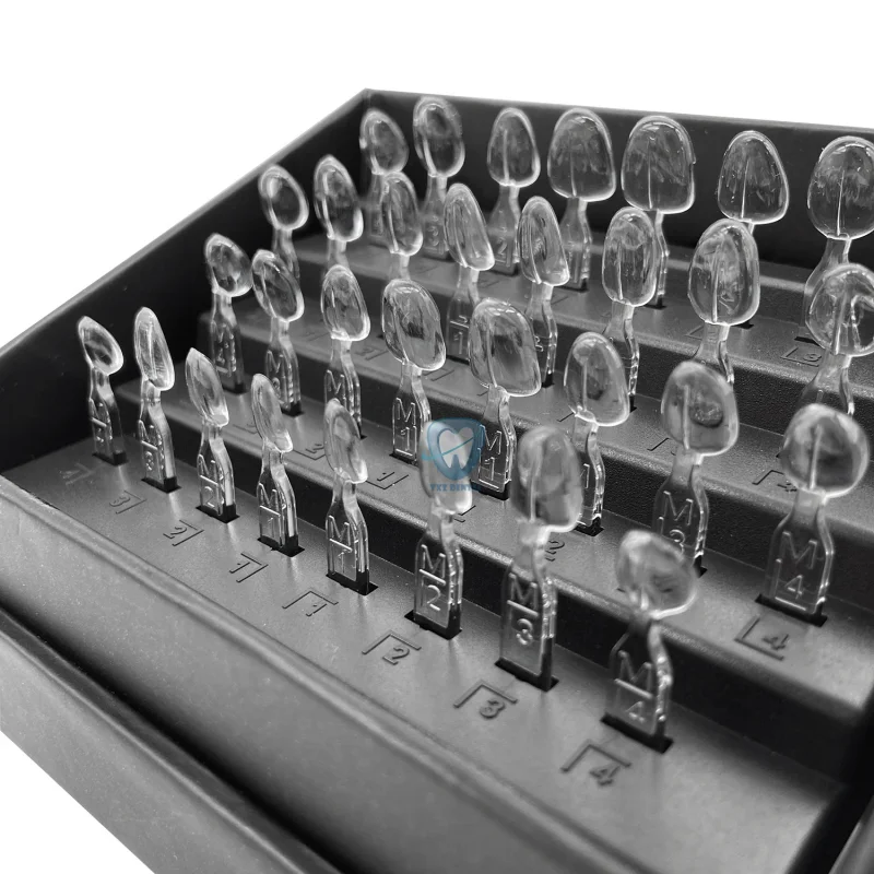 32pcs/Set Dental Veneer Mould  - Teeth Whitening Moulds review and price